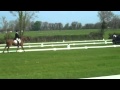 Fenyas Elegance MAY 1st 2011 Ballindenisk FEI CIC Result 68 93