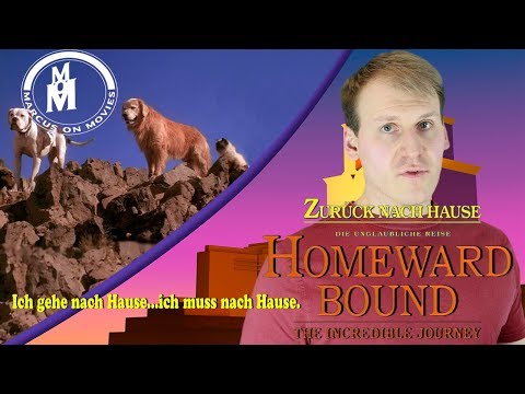 Zurück nach Hause Review & Analyse ││ Marcus On Movies