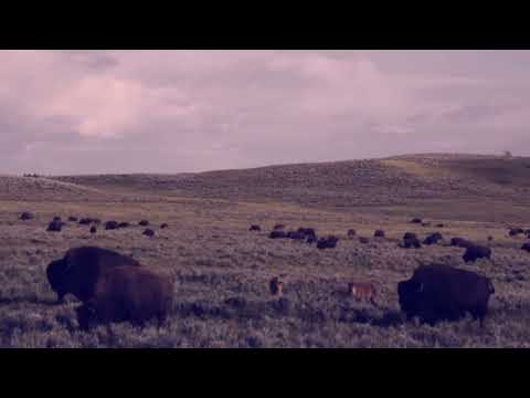 stuck inside ft whirr