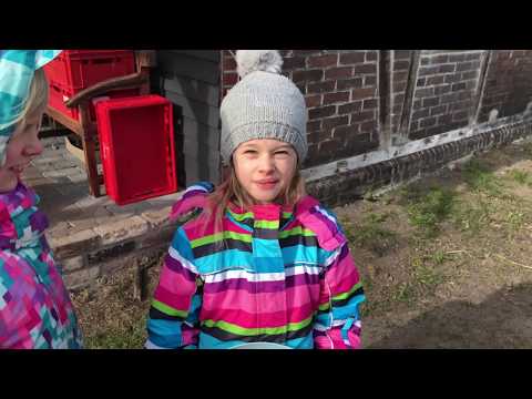 Hühnerfutter selber machen !!  Glückliche Hühner 🐓