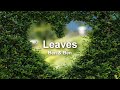 Leaves - Ben&Ben 1 Hour Loop