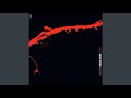 This Side of Sunshine - Roy Ayers Ubiquity