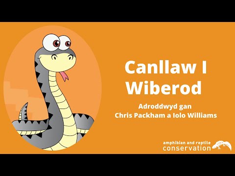 Canllaw I Wiberod - Adroddwyd gan Chris Packham a Iolo Williams