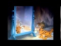 All Mammals Go To Heaven Part 1 READ DESCRIPTION