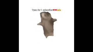 THANKS SO MUCH FOR TWO SUBS NOW UR THE BEST!!❤️❤️❤️❤️❤️