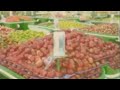 Sounds For The Supermarket 1975 Grocery Store Music Full Album High Quality