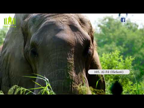 105. Al Fil - Surja me titra Shqip (HD)