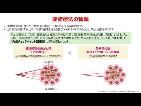 人文学科 令和7年度第1回肝臓病教室