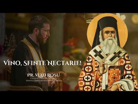 Vino, Sfinte Nectarie!  [INSTRUMENTAL] - Vlad Roșu