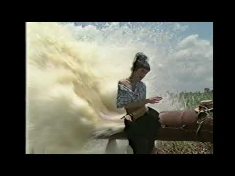 Diana Nylon - Ritmo colocado