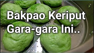 Download lagu Bakpaoku Mengkerut gara2 ini... Bakpao Keriput mp3