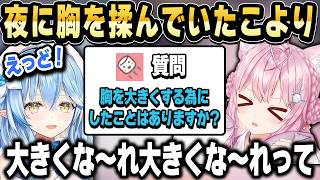 自分の胸を揉んで大きくしようとしていたこよちゃんにびっくりするラミィｗ【ホロライブ 切り抜き/博衣こより/雪花ラミィ】