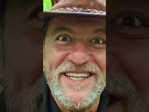 "Luceafarul" de Mihai Eminescu (complet)