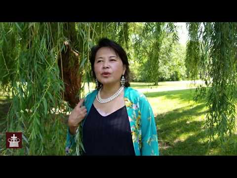 Moog Zoo Mag _ Niam Nruas Hawj nkauj sib ncaim