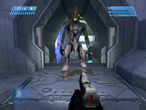 BCM287 - Body merging, camo & gold set-up