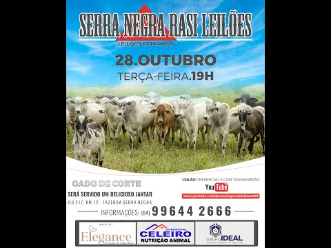 LEILÃO  SERRA NEGRA RASI LEILÕES - PIRACANJUBA - GO | 28 DE OUTUBRO DE 2025