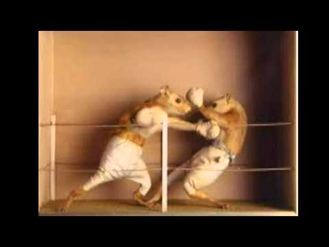 Tiesto ft. Emily Haines - Knock You Out (DR.BAK3 Remix)[HD]