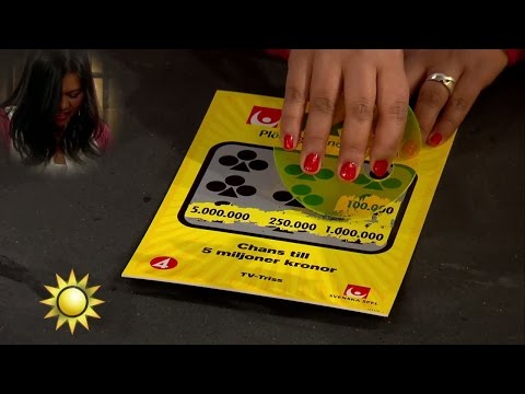 Här skrapar Lily Triss - Nyhetsmorgon (TV4)