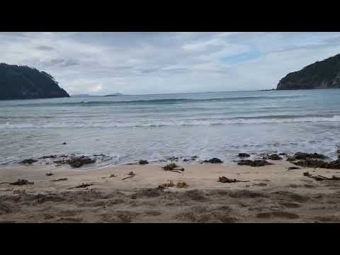 Matapouri Bay|Whangārei #newzealand