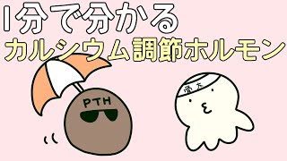 【管理栄養士²の事情】　1分でわかるカルシウム調節ホルモン