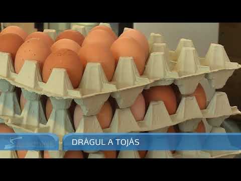 gombaféreg tojás gyógyszer)