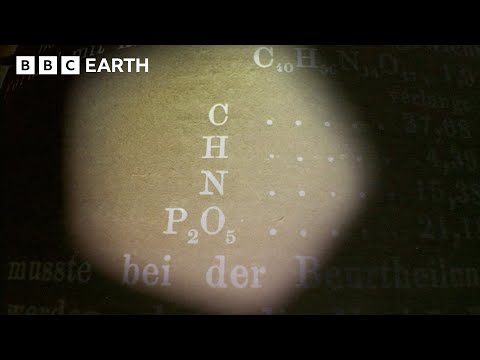 The Discovery of DNA | The Cell | BBC Science