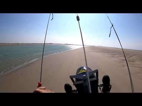 Sandbar  Phare de Walde