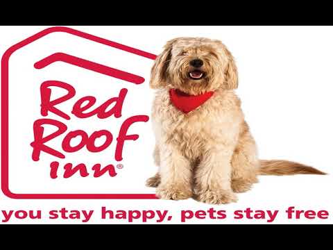 Red Roof PLUS+ Columbus - The Ohio State University - Columbus (Ohio) - United States