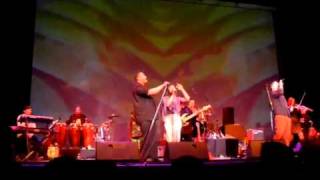 Poi dog Pondering ~ Plate tec tonic