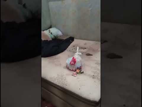 chuva forte em palmeiras do Oeste devastou a cidade 😔💔