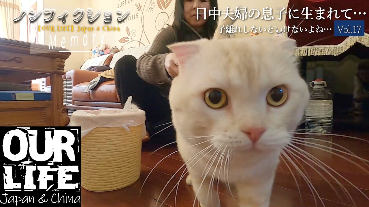 ノンフィクション『日中夫婦の息子に生まれて ～子離れしないといけないよね・・・｜新しい家族が増えました