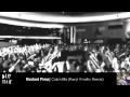 Mustard Pimp feat. Alec Empire - Catch Me (Kanji Kinetic Remix)