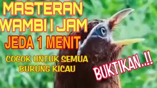 Download lagu MASTERAN WAMBI GACOR 1 JAM JEDA 1 MENIT mp3