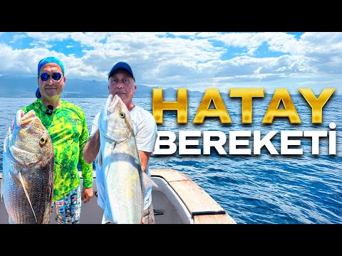 Hatay’a Geldik , Balıkları Yere Serdik