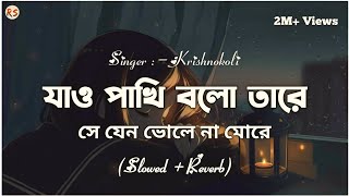Download lagu Jao Pakhi Bolo Tare [Slowed Reverb] - Krishnokoli | Monpura | যাও পাখি বলো তারে mp3