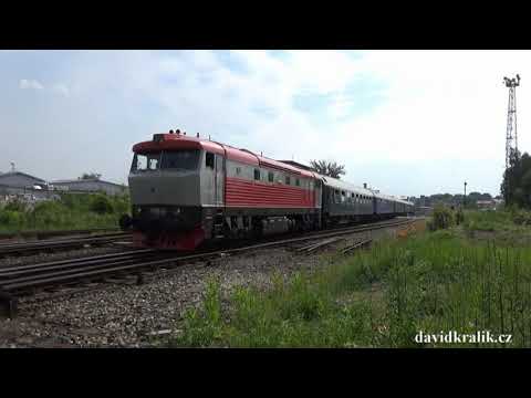 Train / Zug / Vlak - Bardotka