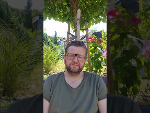 Ein Auszug aus dem Unternehmerleben. Stadtverwaltung Grevenbroich mal eben erklärt