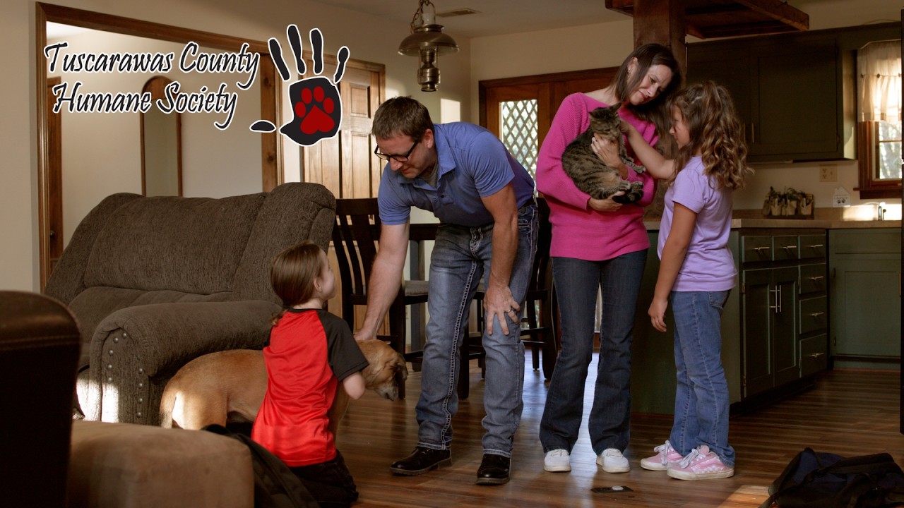 4M Productions — Tuscarawas County Humane Society
