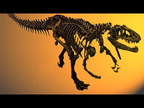 Learn the basics of how to play Nemesis: Lockdown.