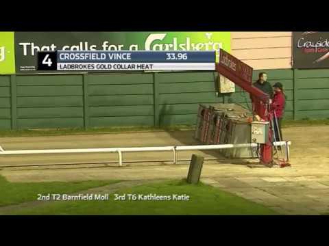 2019 LADBROKES GOLD COLLAR - HEAT 2 - T4 CROSSFIELD VINCE