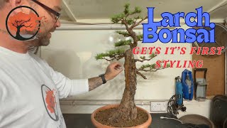 My Scottish Larch Gets It's First Styling (June 2024)