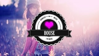 Best of House Mix 2013