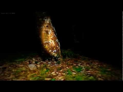 Dimka73, Senya21 и Dereggg - Баг с игрой