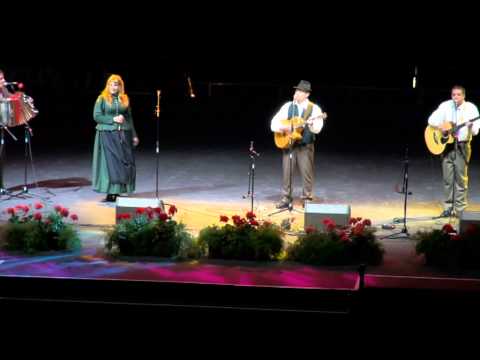 Domen z Vižarji-Zvezde na vasi (v živo)