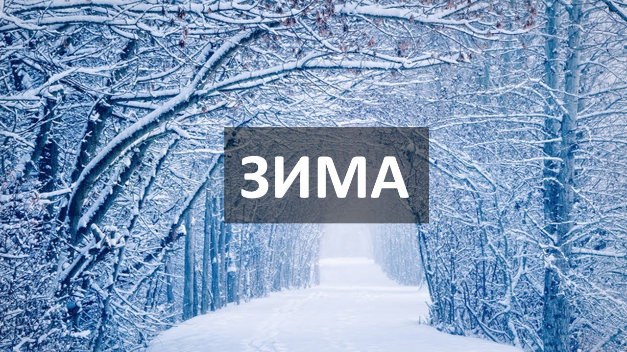 Что мы делаем зимой? Месяцы. Погода. Спорт. Одежда. Всё о зиме по-русски. Тексты РКИ
