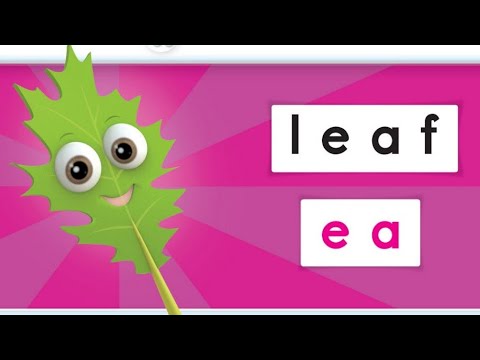 Oxford Phonics World student book level 3 - long vowels - disc 2 - unit 5 - long e - ea - leaf sea