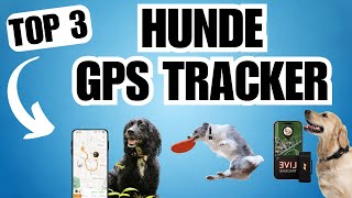 GPS Tracker für Hunde TESTSIEGER im Vergleich! Bester Weglaufalarm zum Kaufen
