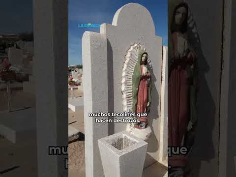 Denuncian daño a tumba de su padre; panteón culpa a las lluvias