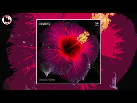 Makla & Chuwe - Punany Printa (ft. Miss Baas)