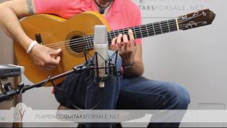 Video thumbnail for VIDEO TEST: Gerundino Fernández 1976 flamenco guitar for sale by flamencoguitarsforsale